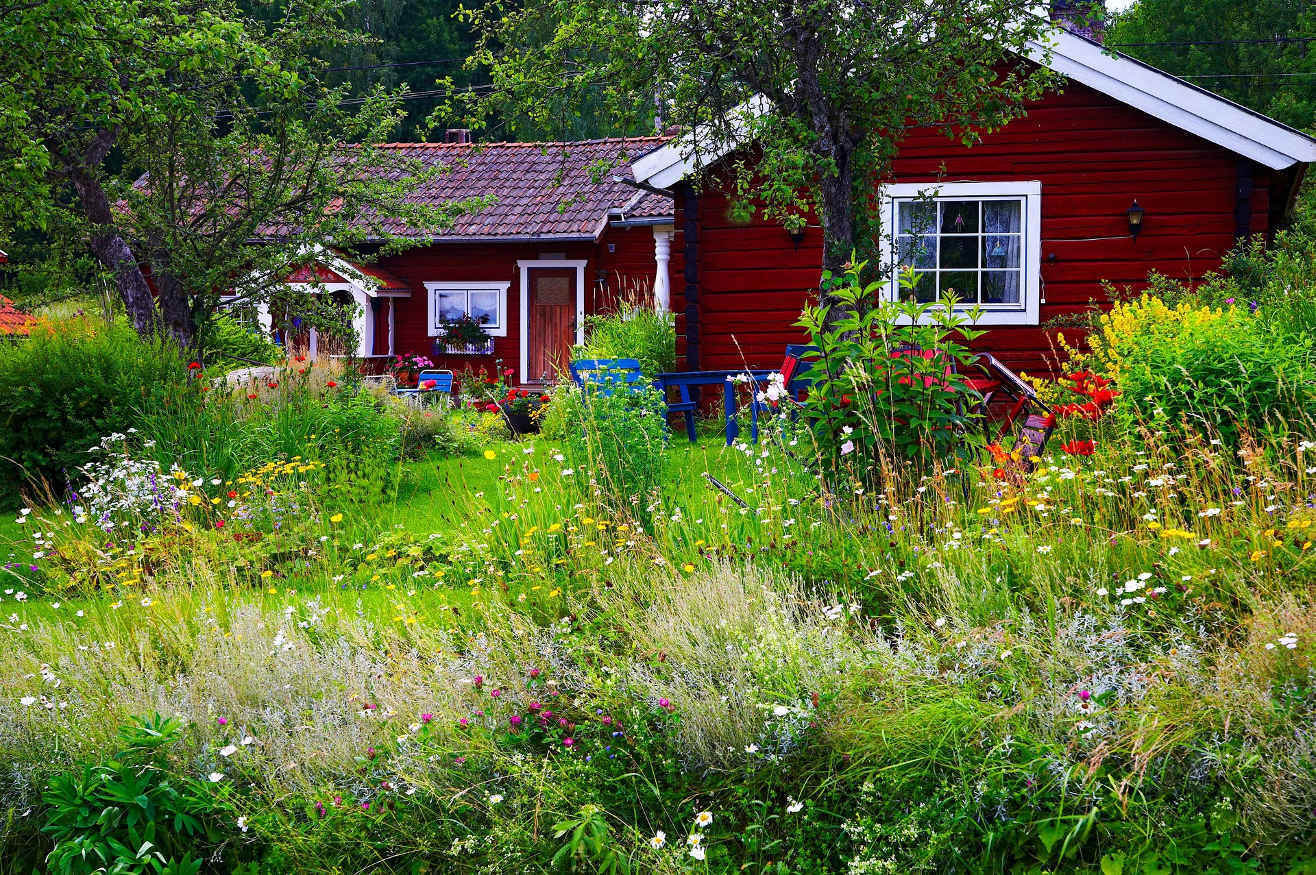 Sommer-cottage am See mit wilden Blumen Garten Umgebung